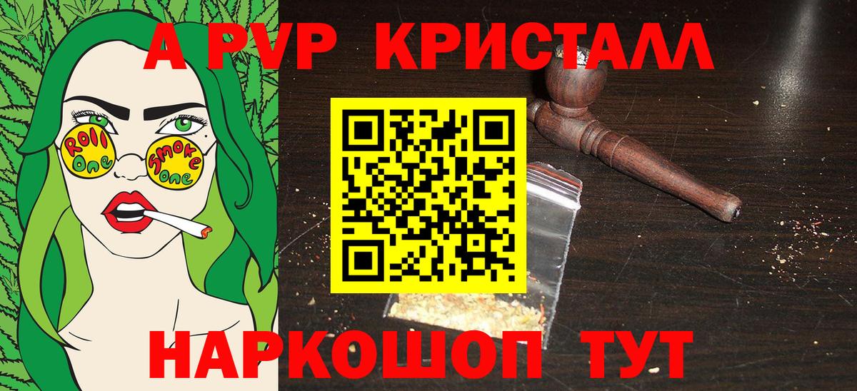 A PVP СК КРИС Волхов