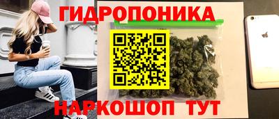 гашик Пушкино