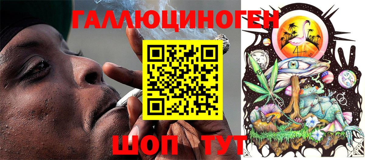 дарнет шоп  Галлюциногенные грибы Psilocybe  Волхов  Вход с VPN  Галлюциногенные грибы Psilocybe 